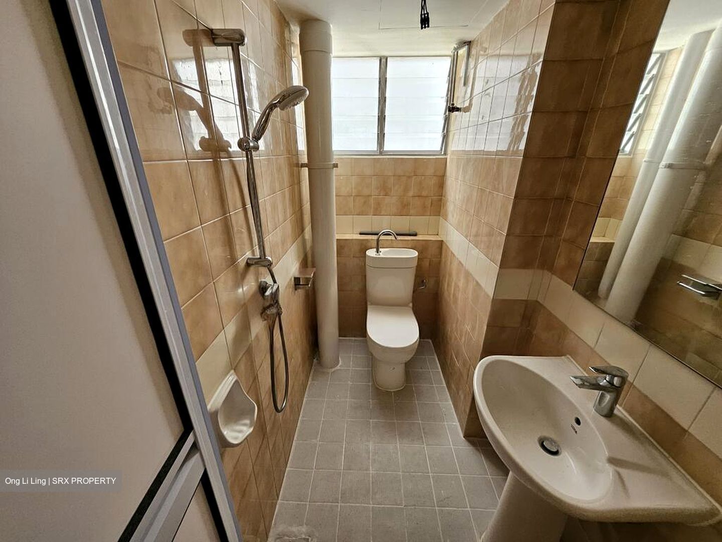Dunearn Road (D11), Condominium #459823281